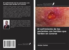 Copertina di El sufrimiento de los pacientes con heridas que tardan en curarse