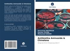 Couverture de Antibiotika Aminoside & Chinolone