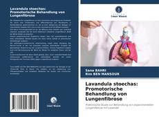 Обложка Lavandula stoechas: Promotorische Behandlung von Lungenfibrose