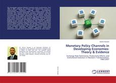 Bookcover of Monetary Policy Channels in Developing Economies: Theory & Evidence
