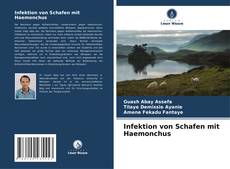 Infektion von Schafen mit Haemonchus的封面