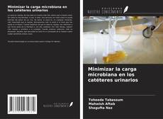 Bookcover of Minimizar la carga microbiana en los catéteres urinarios