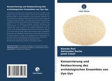 Copertina di Konservierung und Restaurierung des archäologischen Ensembles von Uyo Uyo