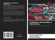 Обложка Antibiotics Aminosides & Quinolones