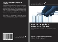 Couverture de Paja de carnauba - Copernicia Cerifera