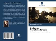 Capa do livro de Indigenes Gewohnheitsrecht 