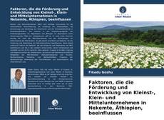 Faktoren, die die Förderung und Entwicklung von Kleinst-, Klein- und Mittelunternehmen in Nekemte, Äthiopien, beeinflussen kitap kapağı