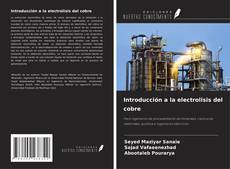 Introducción a la electrolisis del cobre kitap kapağı