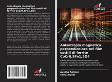 Обложка Anisotropia magnetica perpendicolare nei film sottili di ferrite CoCr0,5Fe1,5O4