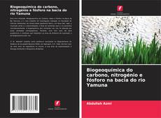 Portada del libro de Biogeoquímica do carbono, nitrogénio e fósforo na bacia do rio Yamuna
