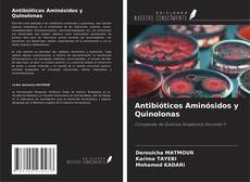 Bookcover of Antibióticos Aminósidos y Quinolonas