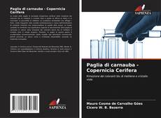Обложка Paglia di carnauba - Copernicia Cerifera