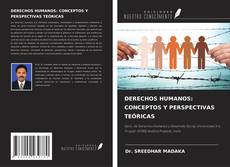 Couverture de DERECHOS HUMANOS: CONCEPTOS Y PERSPECTIVAS TEÓRICAS