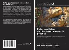 Buchcover von Datos geofísicos aerotransportados en la práctica