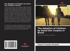 The Adoption of Children by Same-Sex Couples in Brazil kitap kapağı