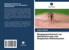 Buchcover von Diagnoseschlüssel zur Identifizierung von Anopheles-Mückenarten