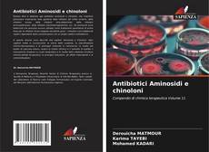 Portada del libro de Antibiotici Aminosidi e chinoloni