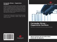 Bookcover of Carnauba Straw - Copernicia Cerifera