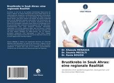 Buchcover von Brustkrebs in Souk Ahras: eine regionale Realität