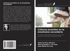 Copertina di Culturas juveniles en la enseñanza secundaria