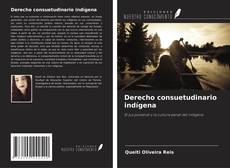 Buchcover von Derecho consuetudinario indígena