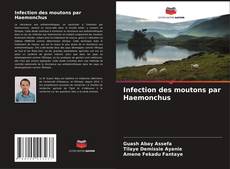 Couverture de Infection des moutons par Haemonchus