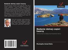 Copertina di Badanie dolnej części twarzy