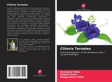 Borítókép a  Clitoria Ternatea - hoz