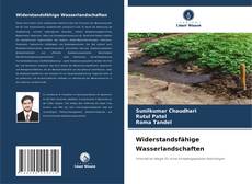 Capa do livro de Widerstandsfähige Wasserlandschaften 