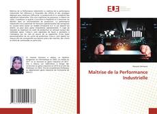 Обложка Maîtrise de la Performance Industrielle