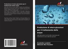 Buchcover von Produzione di etero-giunzioni per il trattamento delle acque