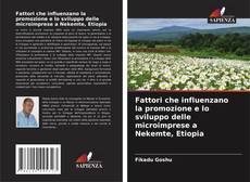 Capa do livro de Fattori che influenzano la promozione e lo sviluppo delle microimprese a Nekemte, Etiopia 