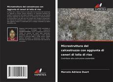 Capa do livro de Microstruttura del calcestruzzo con aggiunta di ceneri di lolla di riso 