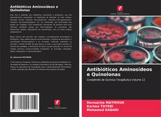 Bookcover of Antibióticos Aminosídeos e Quinolonas