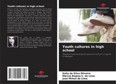 Bookcover of Youth cultures in high school