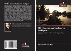 Обложка Diritto consuetudinario indigeno
