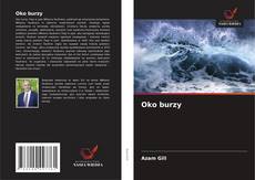 Oko burzy kitap kapağı