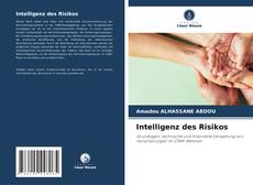 Couverture de Intelligenz des Risikos
