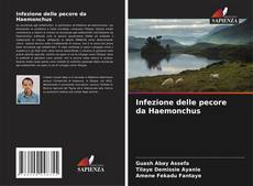 Infezione delle pecore da Haemonchus的封面