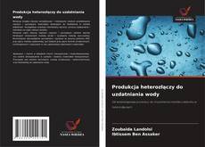 Buchcover von Produkcja heterozłączy do uzdatniania wody