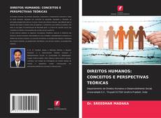 DIREITOS HUMANOS: CONCEITOS E PERSPECTIVAS TEÓRICAS的封面