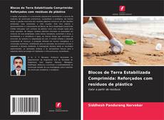 Blocos de Terra Estabilizada Comprimida: Reforçados com resíduos de plástico的封面