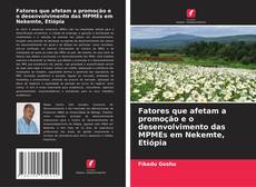 Обложка Fatores que afetam a promoção e o desenvolvimento das MPMEs em Nekemte, Etiópia