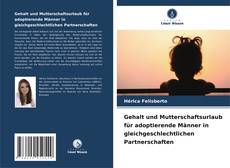 Buchcover von Gehalt und Mutterschaftsurlaub für adoptierende Männer in gleichgeschlechtlichen Partnerschaften