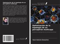 Обложка Optimización de la topología de un perceptrón multicapa
