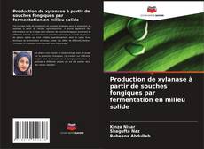 Copertina di Production de xylanase à partir de souches fongiques par fermentation en milieu solide