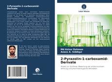 2-Pyrazolin-1-carboxamid-Derivate的封面