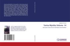 Couverture de Tantra Mystika Volume -14