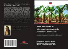 Bookcover of Bilan des macro et micronutriments dans le bananier « Prata Anã »