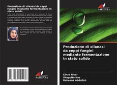 Bookcover of Produzione di xilanasi da ceppi fungini mediante fermentazione in stato solido